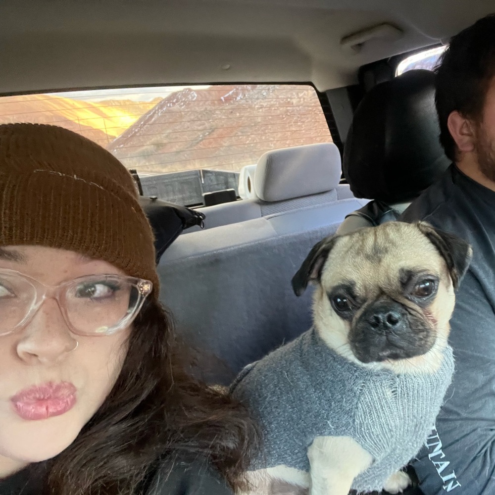 Meet your Posher, Larei